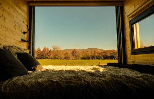 Homnest - Clairiere des Animaux - 1h de Toulouse - Photo 17