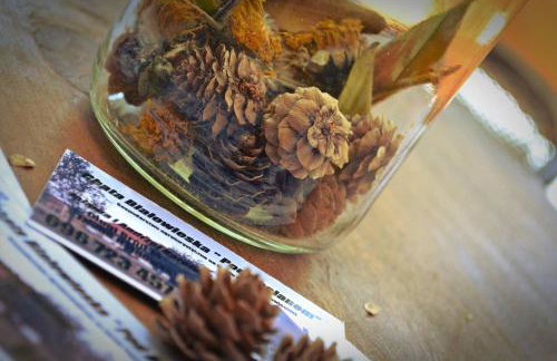 Chata Białowieska Pod Bocianem - Foto 31