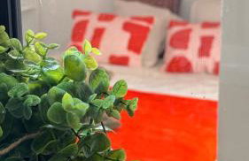 T2 cosy tout équipé, parking et wifi gratuit, Castres - Foto 5