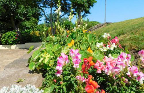 Greenbank Cottage - Foto 19