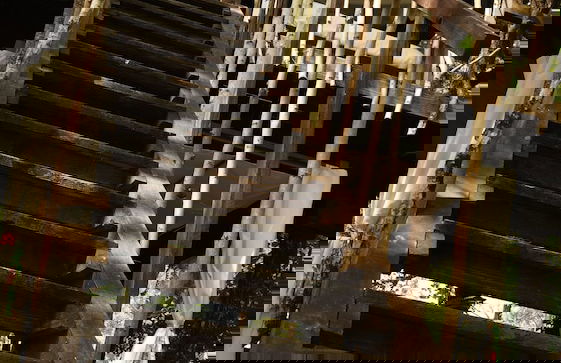 Les Landines - Foto 13