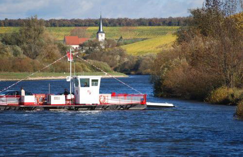 Ferienwohnung Am Mainradweg - Beuerlein Martin - Foto 15