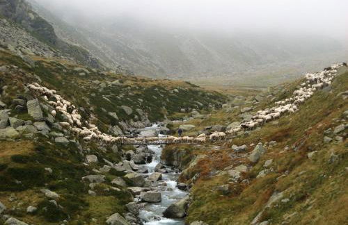 CHALET A CERESOLE REALE nel Parco Gran Paradiso - Foto 77