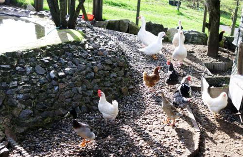 Ferienwohnung Schwarzwaldhof - Foto 34