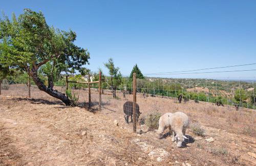 Monte do Pataco - Foto 37