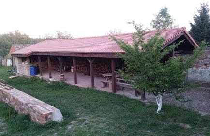 AgroKorytnica - Foto 10