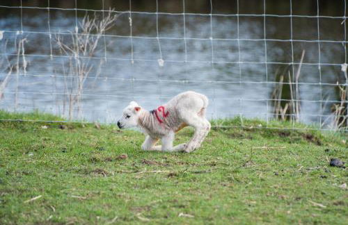 Little Apple Cottage- Free Parking, Hot tub, Fire, Town Centre - Foto 15