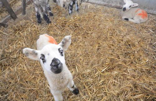 3 Bed in Blandford Forum oc-49993 - Photo 16