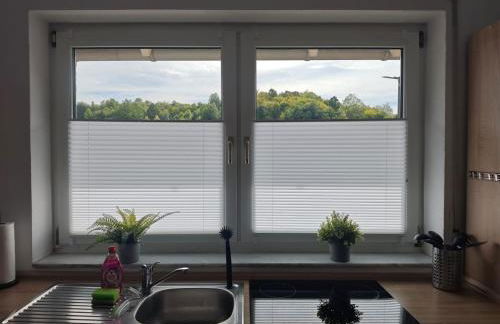 Ferienwohnung 2 Flüsse mit Dachterrasse für 6 Gäste und max 2 Hunde in 1A Lage - Foto 13