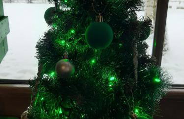 GREEN HOUSE - Foto 19