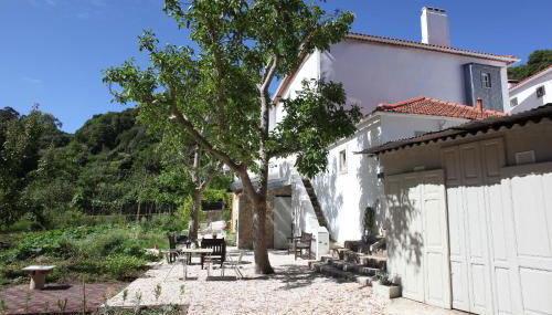 ribeira dos marinheiros amarelo - Foto 4, Garden