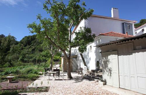 ribeira dos marinheiros vermelho - Foto 1