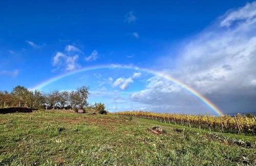 L'écrin d'Anne et Stéphane - vue sur Strasbourg - Foto 30