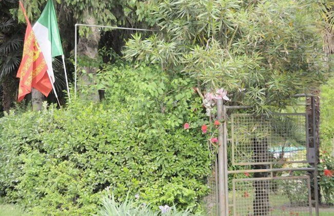 B&B River Venice - Foto 49