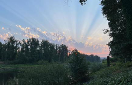 Blue Heron Sanctuary & Serene, river-front cottage - Foto 57