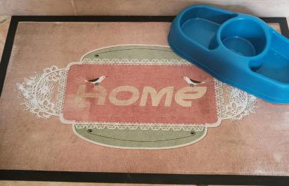 Mid of Nature ' Bella Vista Lago Maggiore charmant mit traumhaften Seeblick, Terrasse und großen Garten - Foto 49