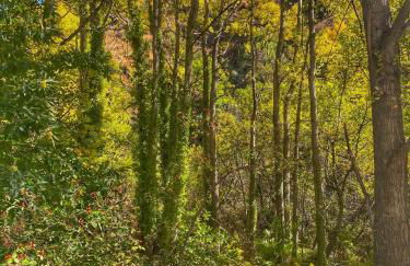 Casa El Higueral - Foto 35