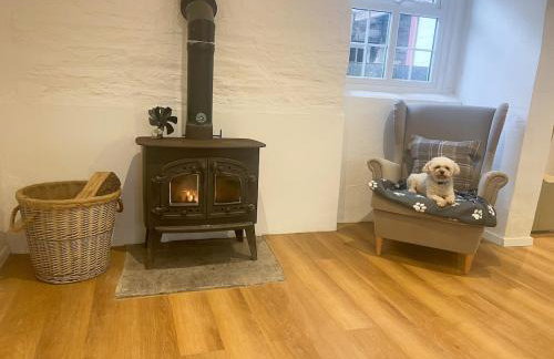 The Granary, Cilbronnau Farm, Cardigan - Foto 3