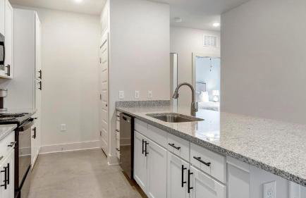 Landing Apartments - Charlotte - Foto 24