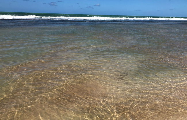 Porto Beach Resort - Marulhos - Photo 43