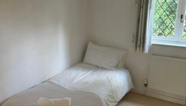 Lodge Backed by English Legacy - Foto 3