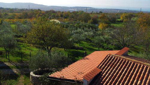 Terra del Carso - Foto 3