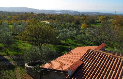 Terra del Carso - Foto 3