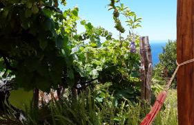 A charming spot - Foto 9