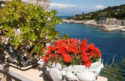 Apartment Nikola - Photo 14