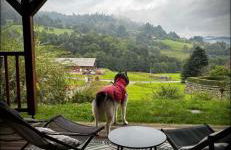 Le chalet de cathy - Foto 34