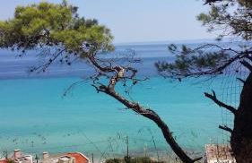 Sea Breeze - Foto 15