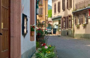 AUX DEUX CIGOGNES AMMERSCHWIHR - Foto 53