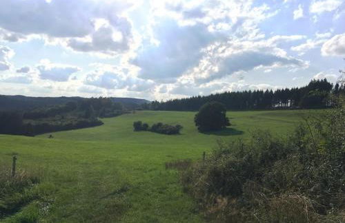 Eifelcottage Wren - Foto 20