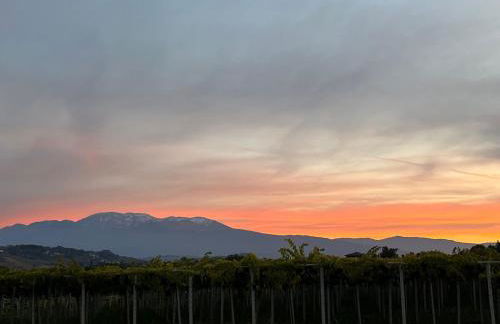 SlowCasa - VILLA Garden & Pool - Foto 59