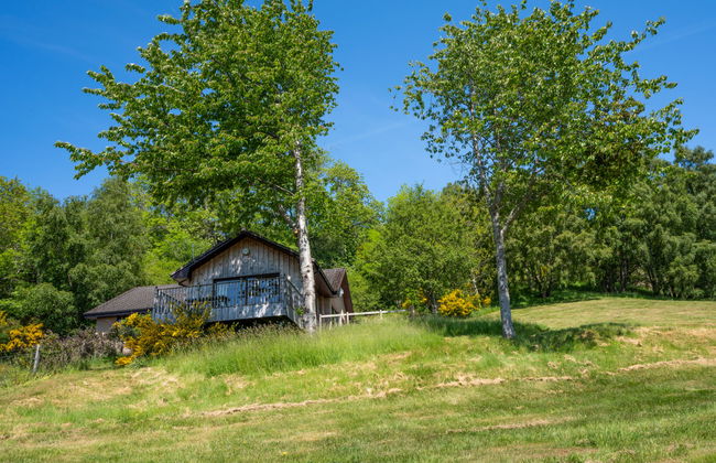 Achmony Number 8 - Foto 28