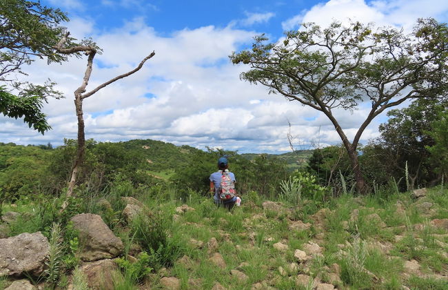 AtNature Luxury Self Catering Cottages - Foto 48