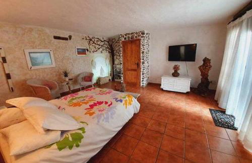 La Bodeguita Apartamento Santo Domingo - Foto 4