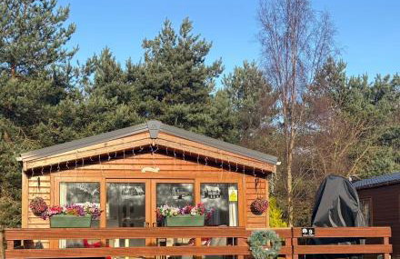 Chloe Cabin - Photo 1