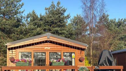 Chloe Cabin - Photo 1