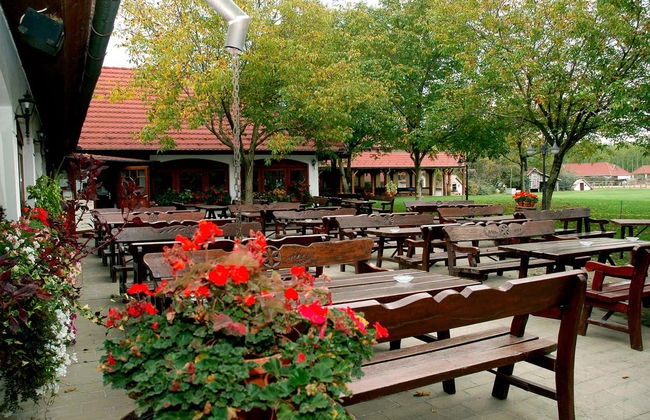 Escursione alla Pusta e spettacolo equestre - Foto 5