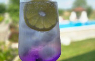 Αρχοντικό Παπανικολάου - Foto 70