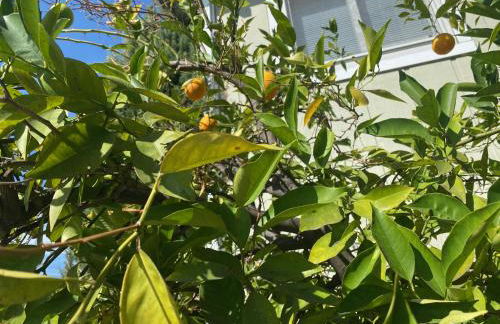 Work and Gym Hideaway - Foto 56