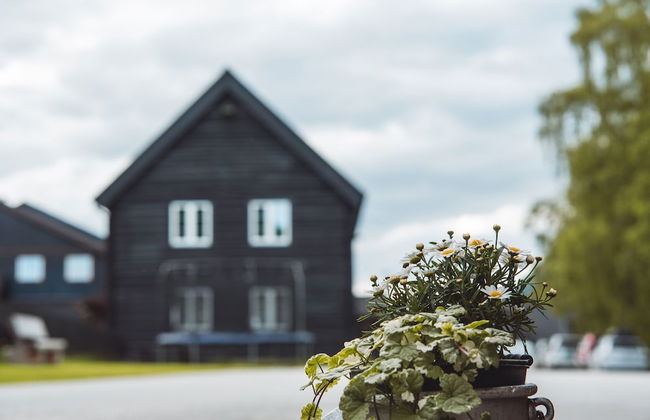 Toftemo Turiststasjon Hytter - Photo 72