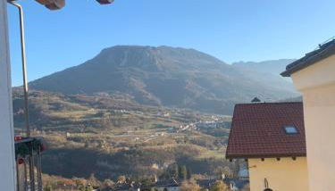 L edera Gigante - Foto 4