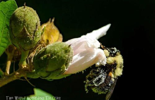 Gorgeous Tiny House with Indoor and Outdoor Lounging Space in Alabama - Foto 56