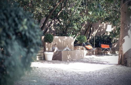 House Avenue - Foto 14