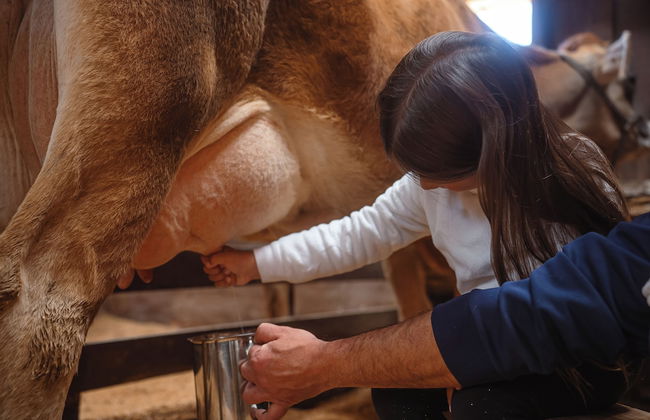 Hotel Acqua Lokos - Foto 29