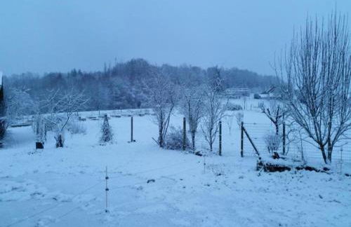 Holiday Home in Limousin near Forest - Foto 37