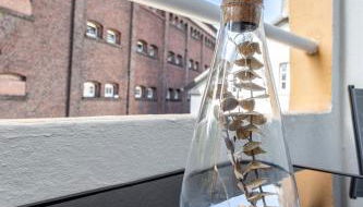 Super zentral I Frisch renoviert - Foto 5