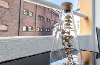 Super zentral I Frisch renoviert - Foto 5